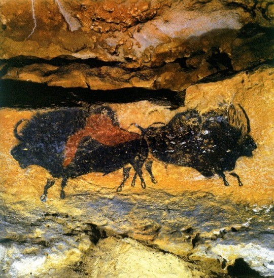 19b264975c_105580273_o2