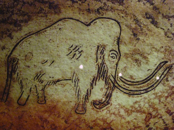 One-panel-of-a-wooly-mammoth-f