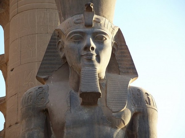 ramsesii-6